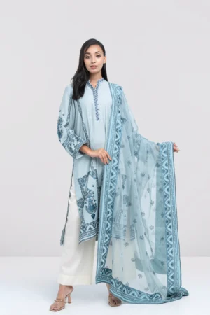 Smart Fit Embellished Two-Piece Formal Ethnic Set with Organza Dupatta